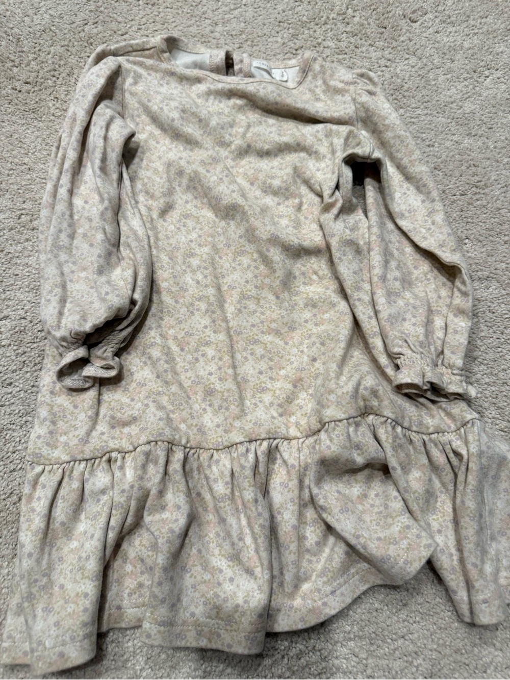 Jamie Kay Cream Floral Long-Sleeve Ruffle Hem Dress